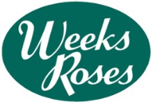 WEEKS